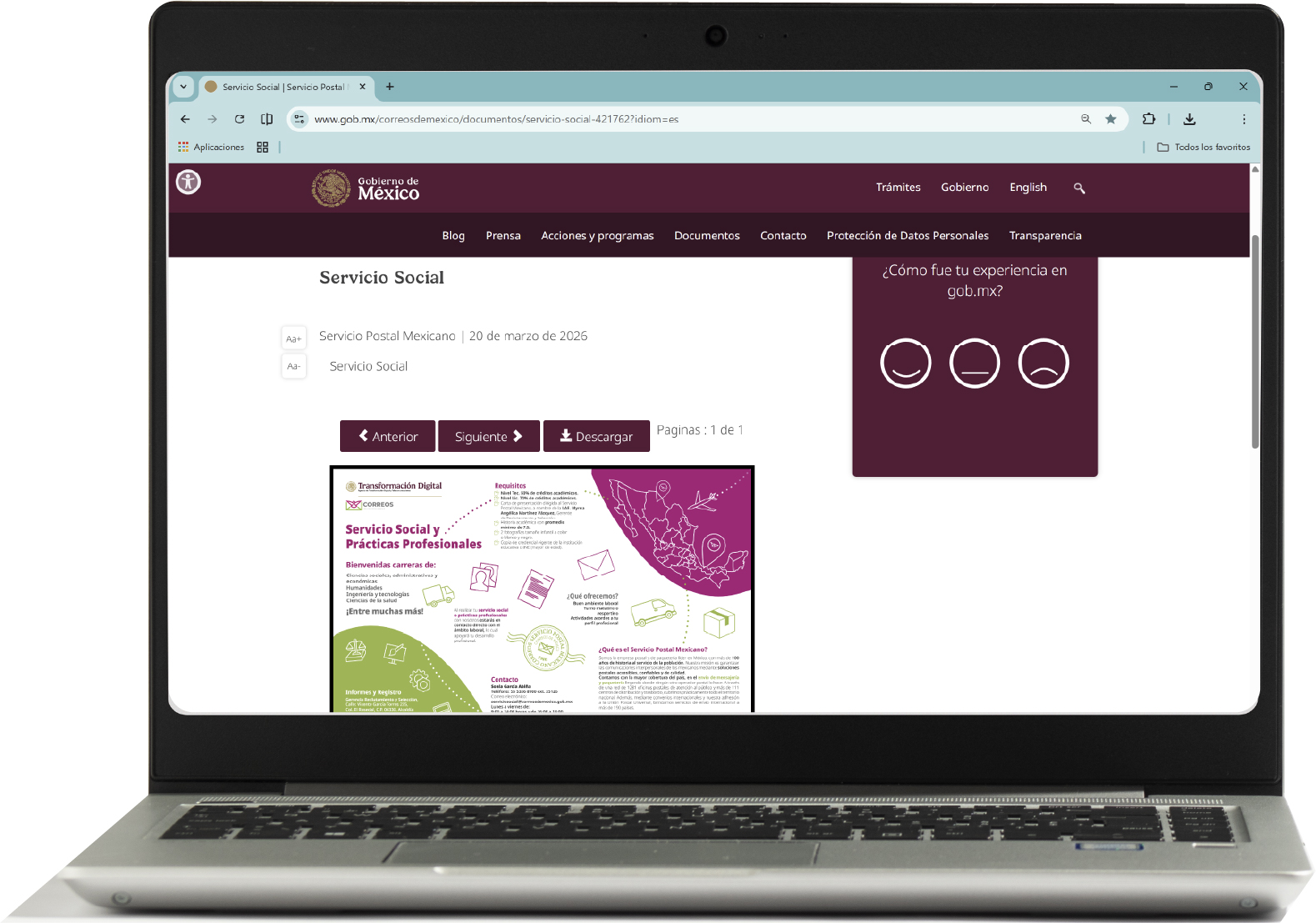 mockup de pagina web